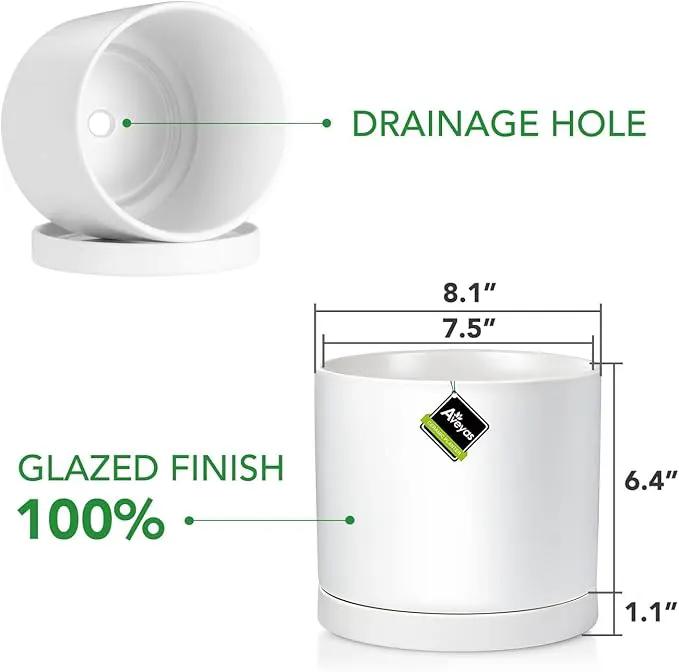 Aveyas 8 inch Ceramic Plant Pot with Drainage Hole and Saucer - Suitable for Indoor and Outdoor Use, Modern Planters for House Garden Flower Tree Snake Monstera Plants (8", Matte White) by GreenHaven Gardens