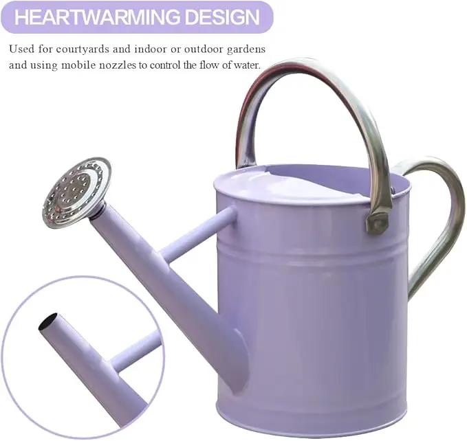Metal Watering Can, One Gallon Watering Cans Stainless Steel for Outdoor Indoor Garden Plants Watering (Stainless Steel Handle Purple) by GreenHaven Gardens