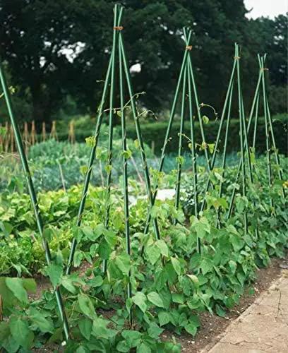Garden Stakes 4ft for Plants, 20pack Tree Stakes Fence Post Fiberglass Rod, 1/5 Inch Dia Garden Poles Tree Stake Cucumber Stake EcoStake Rust-Free (48inch) by GreenHaven Gardens