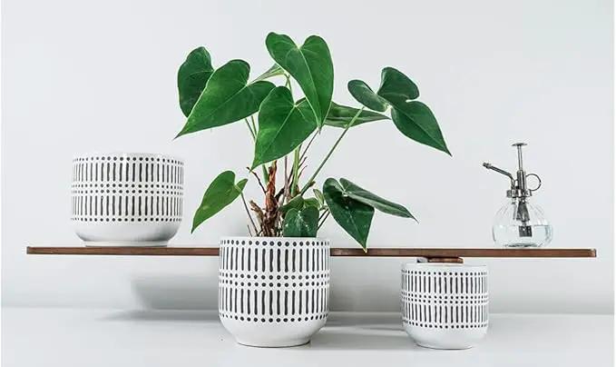 Docrin Plant Pots Ceramic: 6.5+5.3+4 Inch Flower Pots with Drainage Holes for Home/Office - Set of 3/White and Black by GreenHaven Gardens