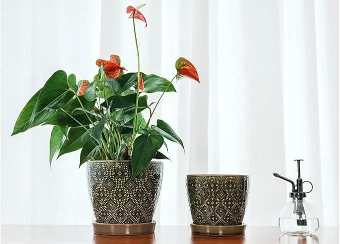 Docrin Ceramic Plant Pots Indoor: 6.6 + 5.5 Inch Planters with Drainage Holes and Saucer for Home/Office - Set of 2 /Dark Green by GreenHaven Gardens