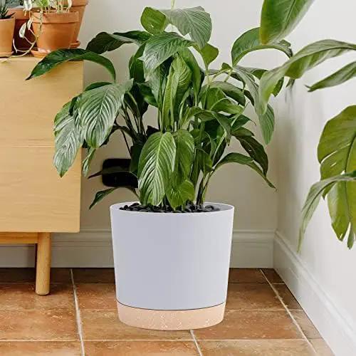 QCQHDU 10 inch Plant Pot, 2 Pack Planters for Indoor Plants with Drainage Holes & Saucer, Outdoor Flower Pots Home Garden Modern Decor by GreenHaven Gardens