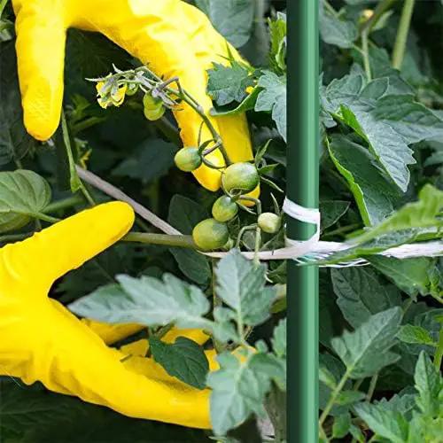 5 Ft 50pack Garden Stakes for Climbing Plants,1/4" Dia Supports Poles EcoStake Rust-Free Plant Sticks Fence Post (60inch) by GreenHaven Gardens