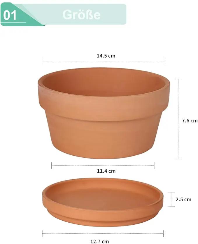 vensovo 5.7 Inch Terracotta Shallow Succulent Pot - 6 Pack Terra Cotta Clay Pots with Saucer, Cacuts Terra-Cotta Indoor and Outdoor Planters with Drainage Hole by GreenHaven Gardens