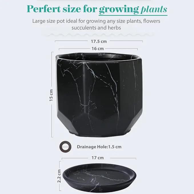 Large Marble Black Plant Pot with Drainage Holes and Saucers, Ceramic Pots for Indoor Outdoor Plants, 7 Inch Premium Hand Glazed Planters for Flower, Garden, Succulent, Nursery, Home Decor by GreenHaven Gardens