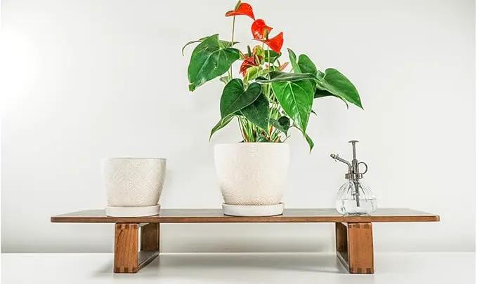 Docrin Ceramic Plant Pots Indoor, 6.6 + 5.5 Inch Planters with Drainage Holes and Saucer for Home/Office - Set of 2 /White