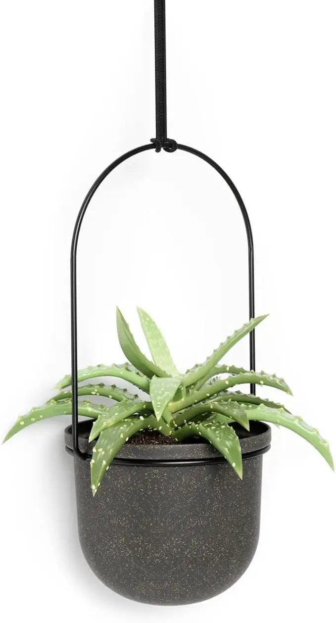 Umbra Triflora Hanging Planter for Window, Indoor Herb Garden, Set of 5, Black by GreenHaven Gardens