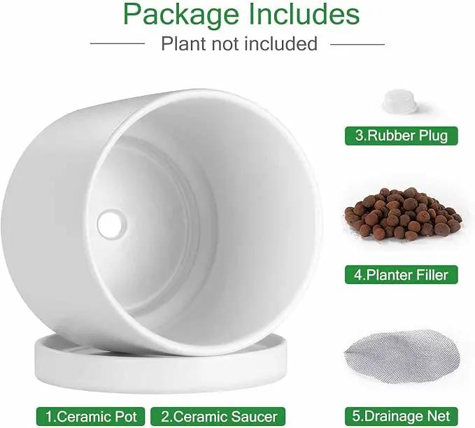 Aveyas 8 inch Ceramic Plant Pot with Drainage Hole and Saucer - Suitable for Indoor and Outdoor Use, Modern Planters for House Garden Flower Tree Snake Monstera Plants (8", Matte White) by GreenHaven Gardens
