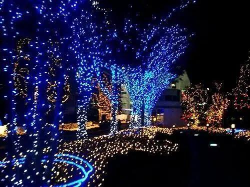 OZS 2PACK 164ft 400LED Extendable Blue Christmas String Lights Indoor/Outdoor, Waterproof 8 Modes Green Wire Christmas Tree Lights for Wedding Christmas Decorations (Blue Light) by GreenHaven Gardens
