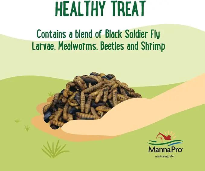 Manna Pro Farmhouse Favorites Quirky Quatro Crunch – 100% Natural Protein Treat for Mixed Flocks – Blend of Black Solider Fly Larvae, Mealworms, Beetles & Shrimp – 2lb by GreenHaven Gardens