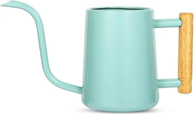 Watering Can Indoor Plants, 35 oz/1000 ml Metal Stainless Steel Watering Can Pot with Long Spout for Indoor House Plants Bonsai Outdoor Garden Flower Decorative (Green by GreenHaven Gardens
