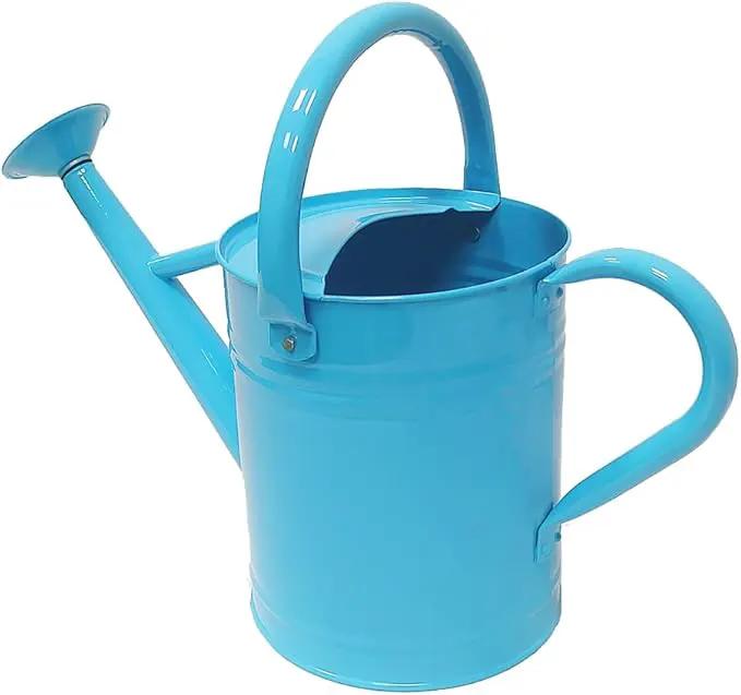 Metal Watering Can for Outdoor and Indoor Plants, Watering Can Decor, 1 Gallon (Blue) by GreenHaven Gardens