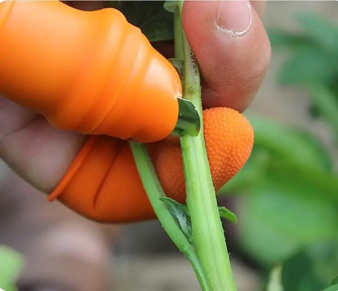 Fruit and Vegetable Picking Potted Plants Trim Silicone Thumb Knife Set Picking Portable Knife Garden Tools by GreenHaven Gardens