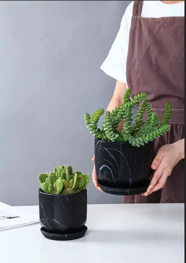 Black Plant Pot with Drainage Holes and Saucers, Ceramic Pots for Indoor Outdoor Plants, 4 & 5 Inch Premium Hand Glazed Sustainable Planters for Flower, Garden, Succulent, Nursery, Home Decor by GreenHaven Gardens
