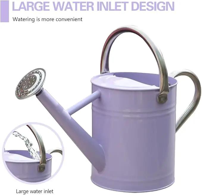 Metal Watering Can, One Gallon Watering Cans Stainless Steel for Outdoor Indoor Garden Plants Watering (Stainless Steel Handle Purple) by GreenHaven Gardens