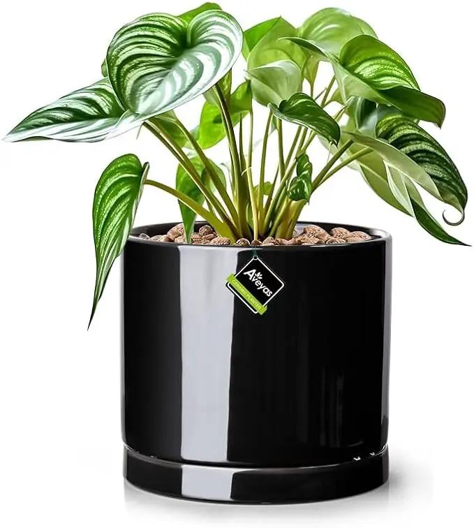 Aveyas 8 inch Ceramic Plant Pot with Drainage Hole and Saucer - Suitable for Indoor and Outdoor Use, Modern Planters for House Garden Flower Tree Snake Monstera Plants (8", Glossy Black) by GreenHaven Gardens