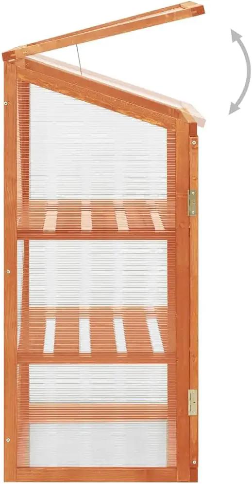 Solid Firwood Garden Portable Wooden Greenhouse with 2 Shelves and Open Bottom, Mini Greenhouse Cabinet 23.6"x17.7"x39.4"/Brown by GreenHaven Gardens