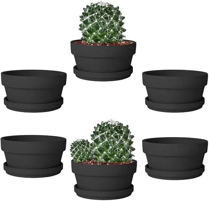 vensovo 5.7 Inch Black Terracotta Shallow Succulent Pots - 6 Pack Terra Cotta Clay Pot with Saucer, Cacuts Indoor and Outdoor Planters with Drainage Hole by GreenHaven Gardens