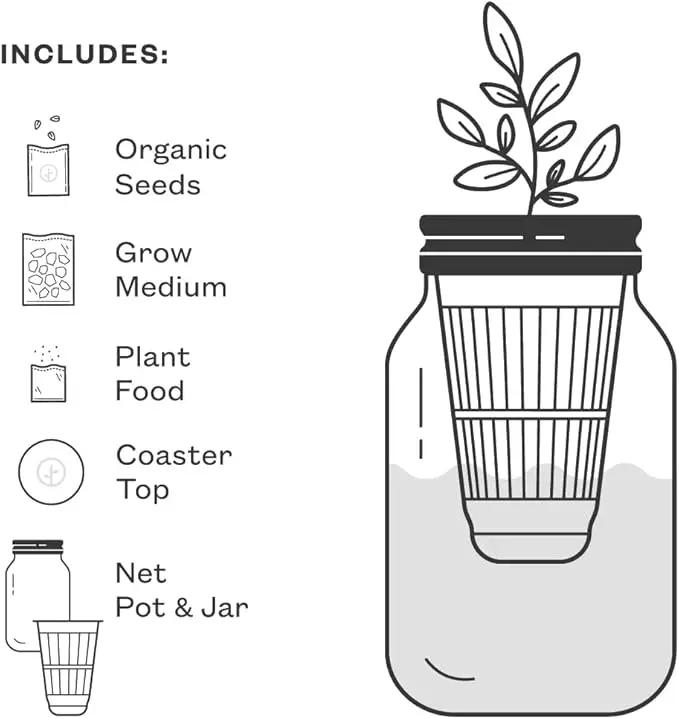 Modern Sprout New & Improved Mason Jar Grow Set 6pk, Indoor Herb Garden, Seed Starter Set, Organic Seeds, Hydroponic Growing (Basil + Mint + Parsley + Cilantro + Rosemary+ Lavender) by GreenHaven Gardens