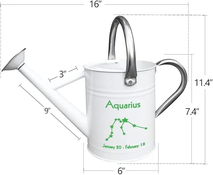Metal Watering Can for Outdoor and Indoor Plants, Watering Can Decor, 1 Gallon (Aquarius) by GreenHaven Gardens