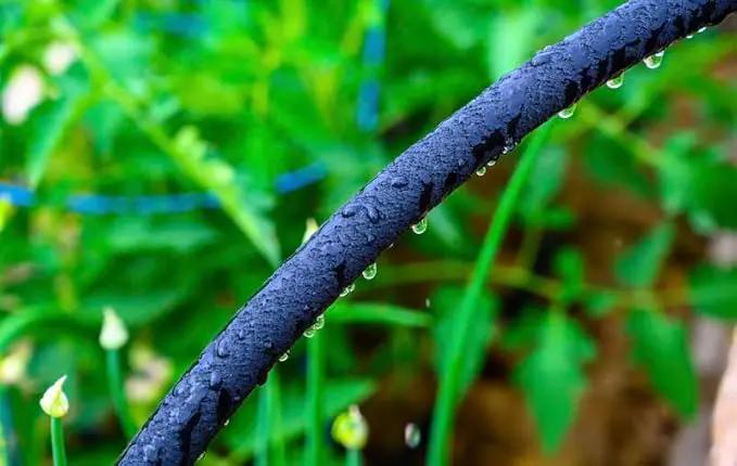 Watex Home Irrigation, Soaker Hose, 50 ft. Weeping hose, water-efficient irrigation, saving water by 60% by GreenHaven Gardens