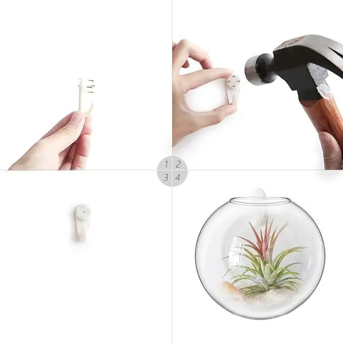 Mkono Wall Hanging Glass Terrariums Planter Oblate Flower Vase for Hydroponics Plants, Bathroom, Home Office Living Room Decor, Set of 2 by GreenHaven Gardens