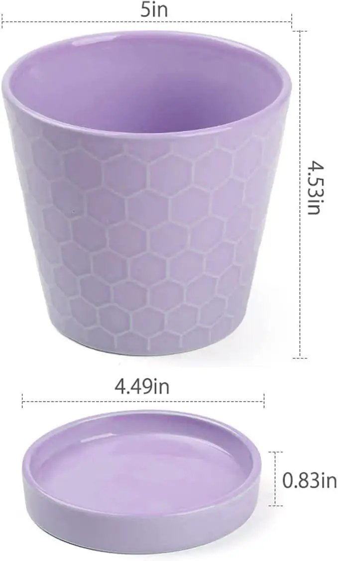 Plant Pots Indoor –5 in Ceramic Flower Pot with Drainage Hole and Ceramic Tray - Gardening Home Desktop Office Windowsill Decoration Gift, Set of 4 - Plants Not Included(Purple) by GreenHaven Gardens