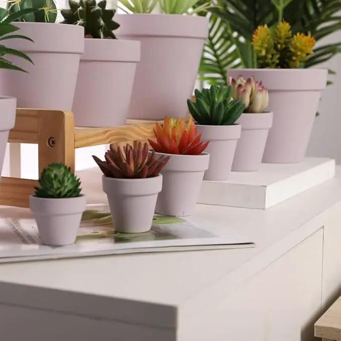 Yishang 72 pcs Small Mini Pink Clay Pots, 2.5'' Terracotta Pot Clay Ceramic Pottery Planter,Cactus Flower Terra Cotta Pots,Succulents Nursery Pots,with Drainage Hole,Great for Crafts,Wedding Favor by GreenHaven Gardens