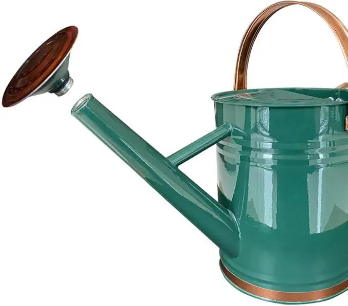 Metal Watering Can for Outdoor and Indoor Plants, Watering Can Decor, 1 Gallon (1 Gallon Green2) by GreenHaven Gardens