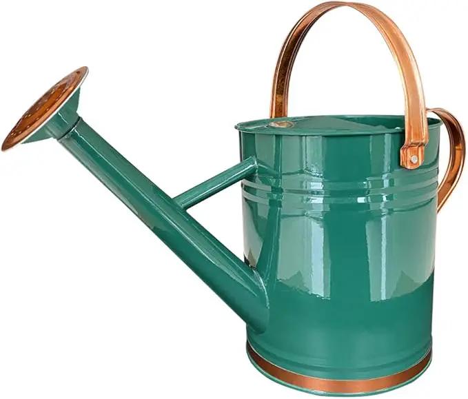 Metal Watering Can for Outdoor and Indoor Plants, Watering Can Decor, 1 Gallon (1 Gallon Green2) by GreenHaven Gardens