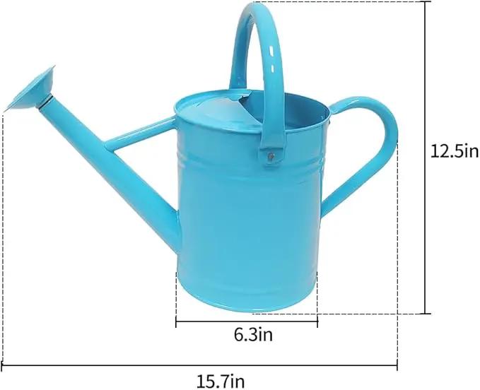 Metal Watering Can for Outdoor and Indoor Plants, Watering Can Decor, 1 Gallon (Blue) by GreenHaven Gardens