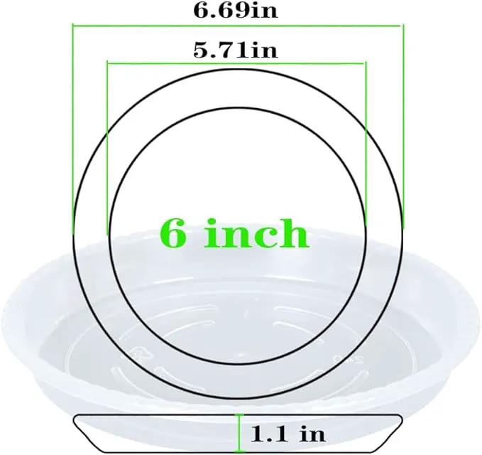 Plant Saucer 6 Pack of 4 6 8 10 12 14 16 inch, Clear Plastic Flower Plant Pot Saucer, Heavy Duty Plant Drip Trays Saucers for Indoor, Plant Water Tray for Planters (6", Clear) by GreenHaven Gardens