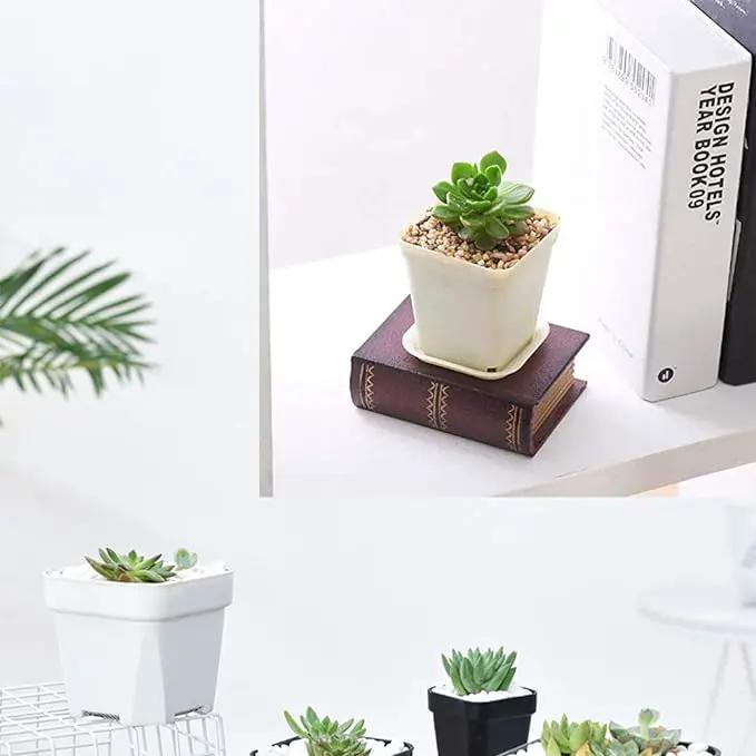 OJYUDD 3inch White Square Plastic Pots with Saucer, Drainage Hole, 24 Pcs, for Flower/Plant, Home,Company,Office and Garden(White) by GreenHaven Gardens