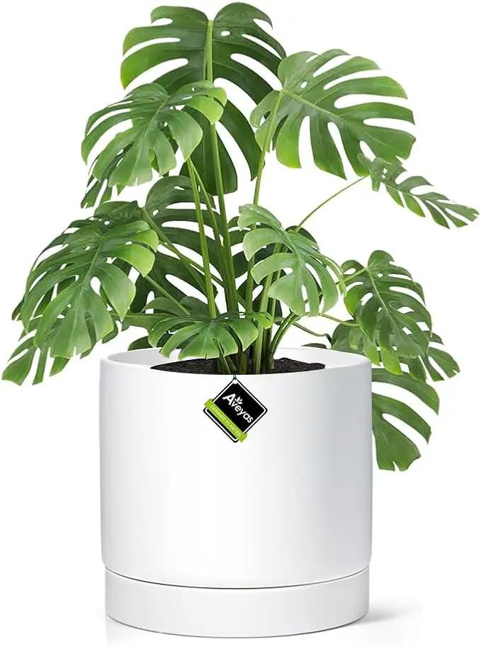 Aveyas 10 inch Ceramic Plant Pot with Drainage Hole and Saucer - Suitable for Indoor and Outdoor Use, Modern Planters for House Garden Flower Tree Snake Monstera Plants (10", Matte White) by GreenHaven Gardens