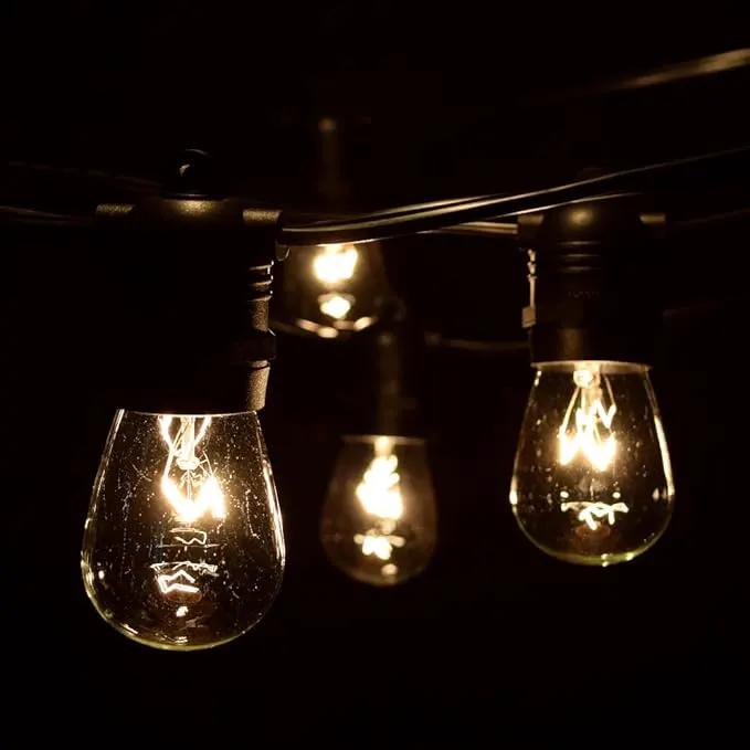 Hometown Evolution, Inc. Commercial E26 String Lights with 16 Gauge Wire (50 Foot 25 Socket, S14 11 Watt Clear Bulb) by GreenHaven Gardens