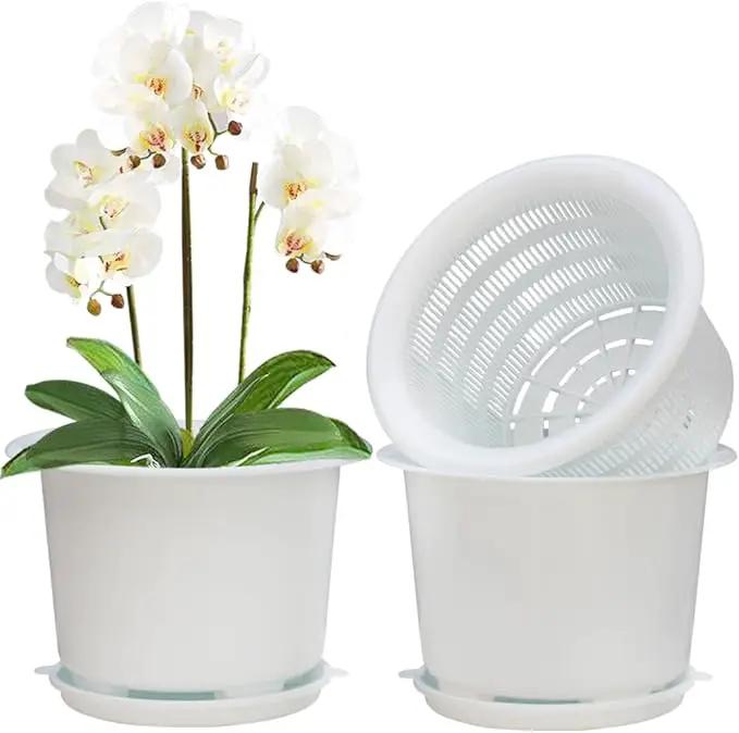 8 Inch Orchid Pots with Holes and Saucers,Double Layer Plastic Large Orchid Planter Pot,Flower Pots for Indoor Outdoor Flower Plants,Orchids,Herbs,Snake Plants and Succulents by GreenHaven Gardens