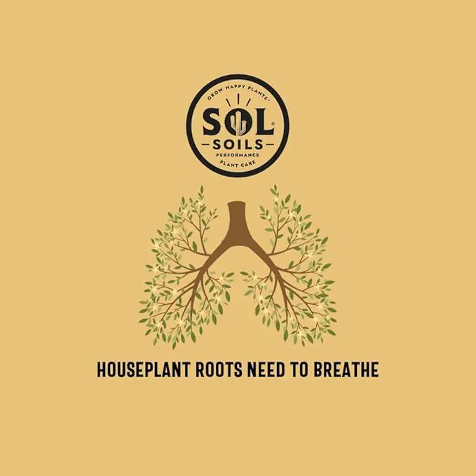 Sol Soils Chunky Houseplant Mix - Fast Draining Soil for Indoor Plants with Coco Coir Chips, Perlite, & Pumice, 2 Quart by GreenHaven Gardens