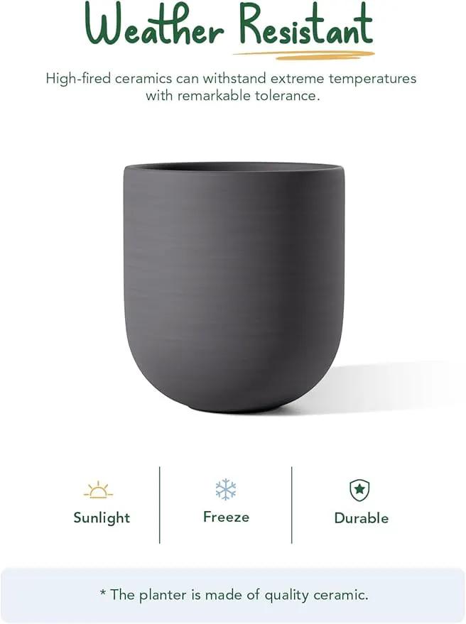 LE TAUCI 10 Inch Plant Pot, Ceramic Pots for Plants with Drainage Hole and Rubber Plug, Plant Pots Indoor for Home Garden Patio Office, Cylinder Planters for Indoor Plants, Charcoal Gray by GreenHaven Gardens