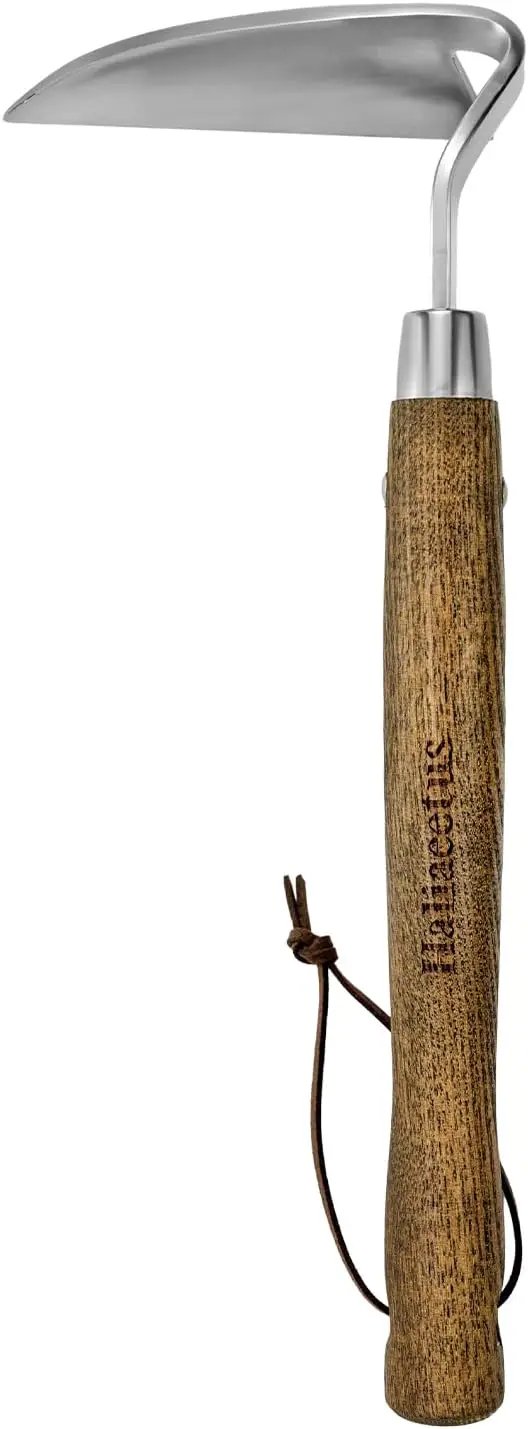Haliaeetus Gardening Sickle Hoe, Japanese Bent Angle Weeding Sickle, Stainless Steel Weed Hoe Scraper by GreenHaven Gardens