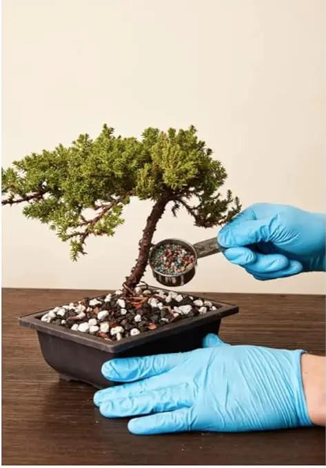 Bonsai All-Purpose Fertilizer by The Bonsai Supply – 5oz | Quick Results | Micro Nutrients for Vital Bonsai Health by GreenHaven Gardens