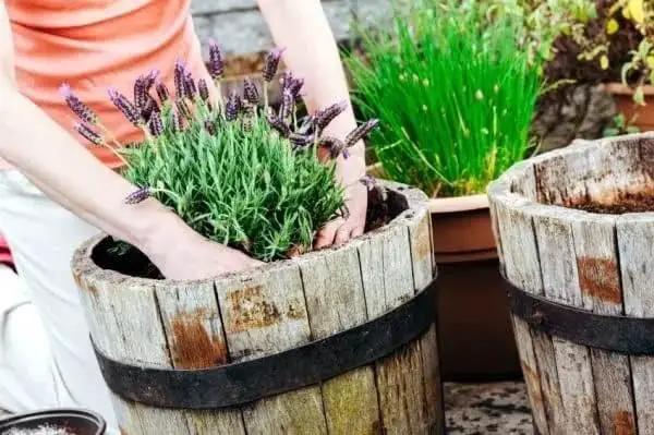 Organic Moisture Control Potting Mix - Absorbs 33% More Water Than Basic Potting Soil - 3 Quart by GreenHaven Gardens