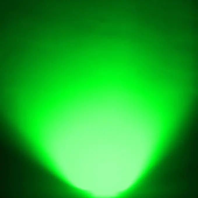 T-SUN Green Solar Spotlights, Green Solar Lights Outdoor, Auto-ON/Off 180°Angle Adjustable Solar Lights for Tree, Patio, Yard, Garden, Driveway, Pool Area (Green-2pack) by GreenHaven Gardens