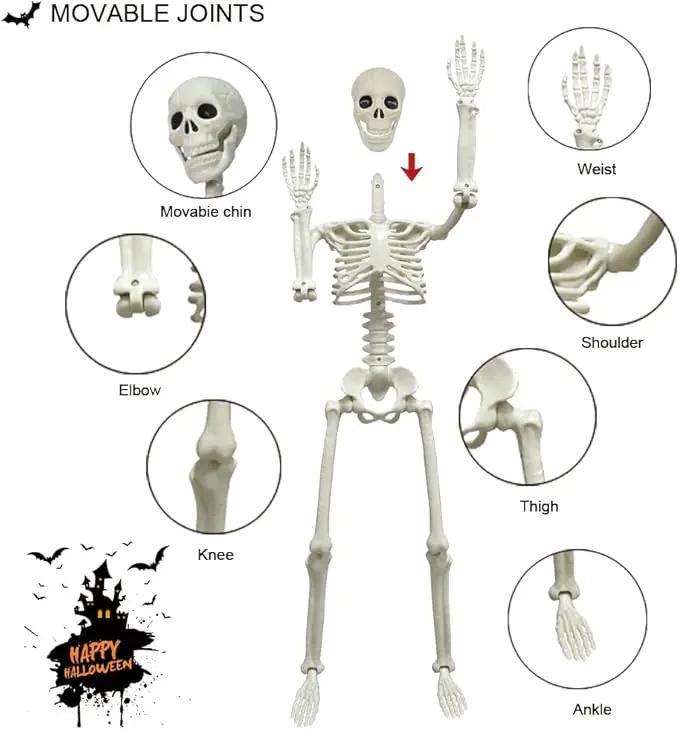 CAMIRUS 2PACK Plastic Posable Halloween Skeleton Decorations, 3FT Poseable Skeleton Full Body with Movable Joints for Halloween Indoor/Outdoor Haunted Houses, Lawn, Graveyard Decor by GreenHaven Gardens