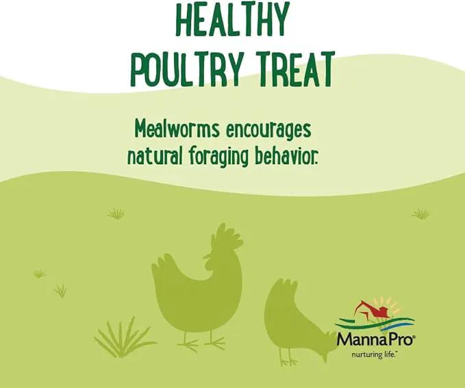 Manna Pro Farmhouse Favorites Mealworms Poultry Treat - Protein Treat for Chicken - Poultry, Turkey, Ducks, Geese, and Guinea Fowl Treat - Contains 50% Protein - 100% Natural Poultry Snack - 2lbs by GreenHaven Gardens