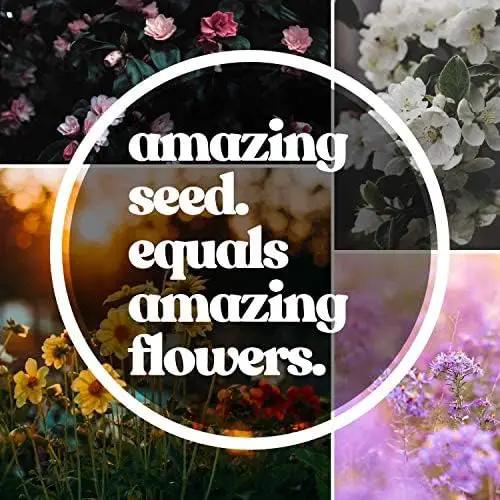 Wildflower Seed Bulk, 3 Oz. (80,000+ Seeds) – 19 Non-GMO Flower Seeds for Shade, Annual & Perennial Wild Flowers Mix for Partial Shade – Shade Tolerant by Mountain Valley Seed by GreenHaven Gardens