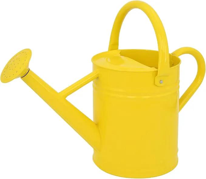Metal Watering Can for Outdoor Plants, Galvanized Steel Watering Can with Removable spout, 1 Gallon,Perfect Home & Garden Décor Yellow by GreenHaven Gardens