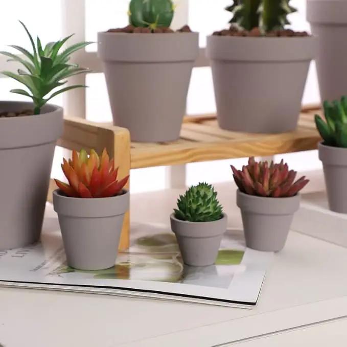Yishang 72 pcs Small Mini Grey Clay Pots, 2.5'' Terracotta Pot Clay Ceramic Pottery Planter,Cactus Flower Terra Cotta Pots,Succulents Nursery Pots,with Drainage Hole,Great for Crafts,Wedding Favor by GreenHaven Gardens