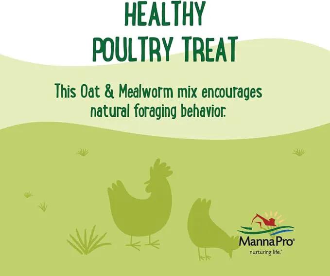 Manna Pro Farmhouse Favorites Oat & Mealworm Mix Poultry Treat – Natural Protein Source – Encouraging Poultry Treat – Mix of Oats, Peanuts, Raisins, Mealworms, Sunflower Kernels – 2lbs by GreenHaven Gardens