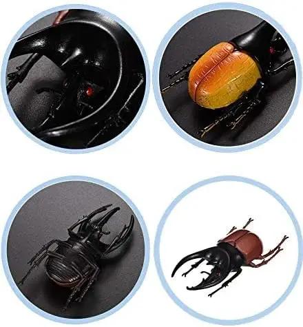 Hiawbon 5.5 inch Fake Beetle Simulated Beetle Model Realistic Plastic Beetle Figures for Fairy Garden Decoration, Set of 6 by GreenHaven Gardens