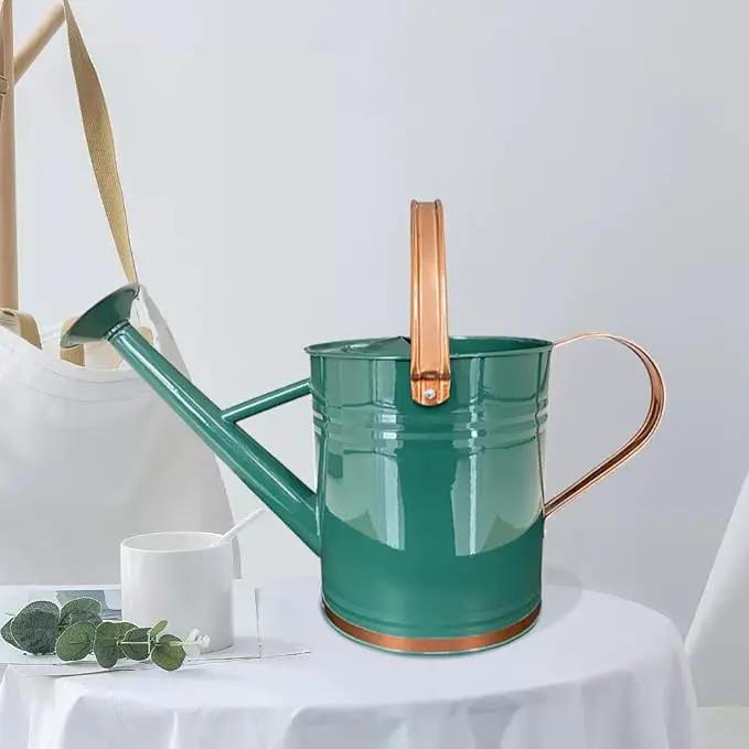 Metal Watering Can for Outdoor and Indoor Plants, Watering Can Decor, 1 Gallon (1 Gallon Green2) by GreenHaven Gardens